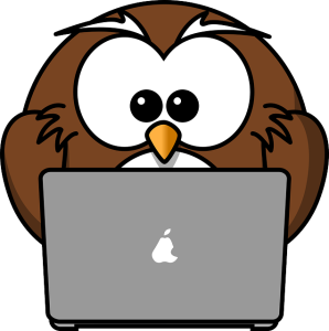 website